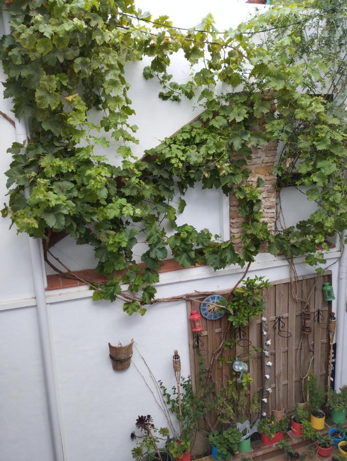Apartament Eg17 *
